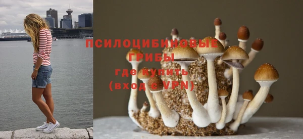 мескалин Тобольск
