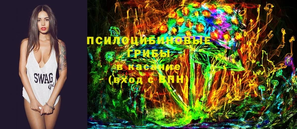 spice Володарск