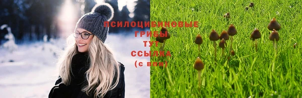 твердый Шадринск