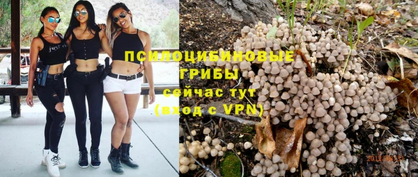 spice Володарск